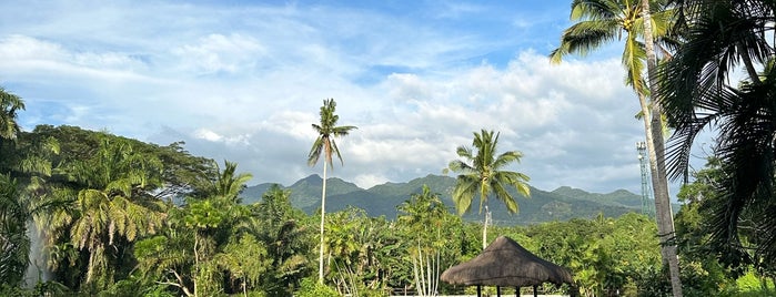 The Farm at San Benito is one of Philippines.