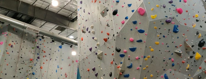 Mesa Rim Climbing & Fitness is one of Rock climbing gyms.