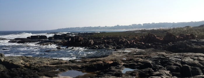 Punta Negra is one of Uruguay.
