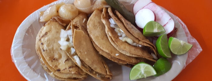 Tacos de Barbacoa Carlos Gigantes is one of Posti che sono piaciuti a Jam.