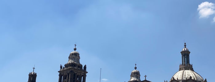 Catedral Metropolitana de la Asunción de María is one of #SóloAquí.