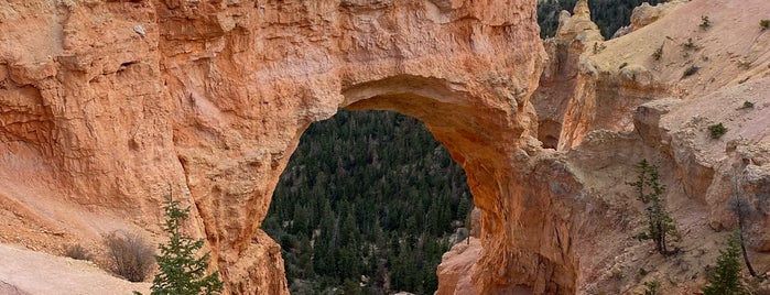 Natural Bridge Overlook is one of Someday... (The West).