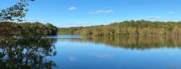 Plainsboro Preserve is one of BEST OF: South Jersey & Philly.