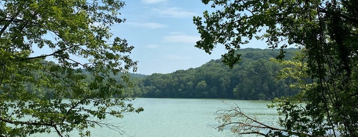 Lake Trail is one of The 15 Best Hiking Trails in Nashville.