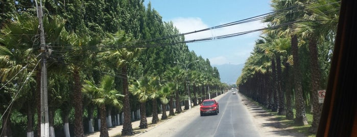 San Vicente de Tagua Tagua is one of Lugares favoritos de Constanza.