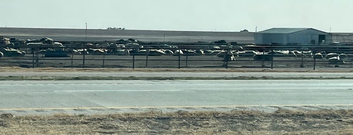 Stinky Cows is one of Leslie’s Liked Places.