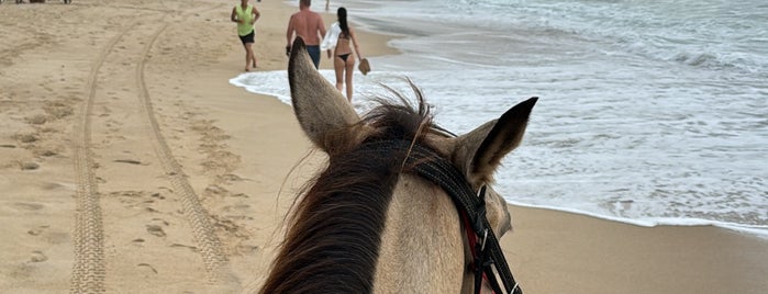 Kamala Beach is one of Getaway | Relax.