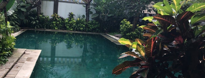 The Sara Residence Bali is one of pijat panggilan bali 24 jam terapis wanita pria.