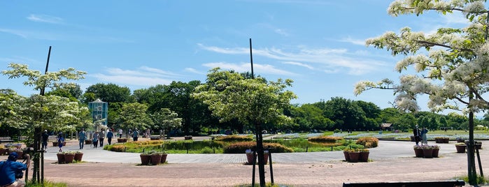 フラワーパーク江南 (江南花卉園芸公園) is one of てくてく3.