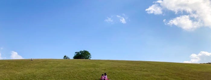 三瀬ルベール牧場 どんぐり村 is one of おじゃましたところ.