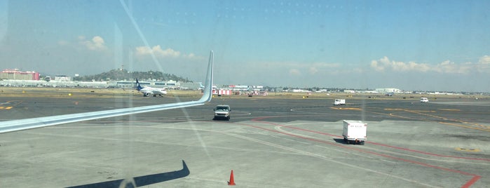 멕시코시티 국제공항 (MEX) is one of D.F..