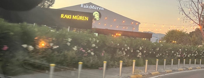 Rakı Müren is one of Kıbrıs.