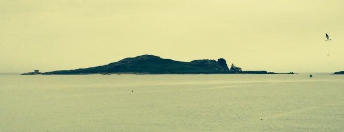 Tetard Island is one of Orte, die BP gefallen.