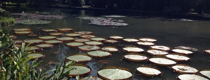 Jardim Botânico do Rio de Janeiro is one of สถานที่ที่ Ana Luisa ถูกใจ.