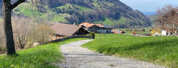 Bergblick,Aeschiried is one of A local’s guide: 48 hours in Aeschi b. Spiez.
