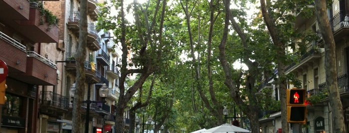 Rambla del Poblenou is one of Barcelona.