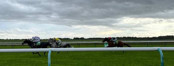 Newmarket Racecourse is one of Horse Racing Around the World.