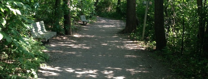 Cité historia, Musé Du sault-au-Récolet, Meunier is one of สถานที่ที่บันทึกไว้ของ ᴡ.