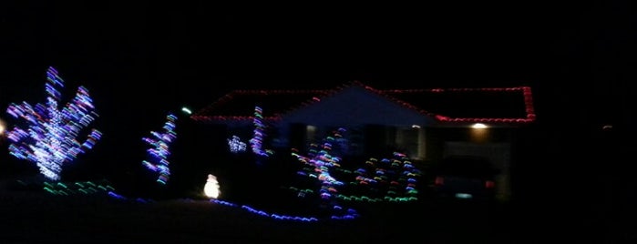 Griswold's Holiday Light Extravaganza is one of Tom's Saved Places.