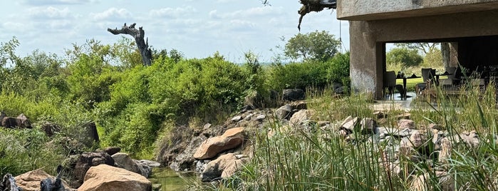 Earth Lodge Sabi Sabi is one of South Africa.