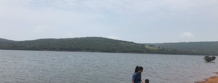 Kaas Plateau of Flowers is one of Marvelous Maharashtra.