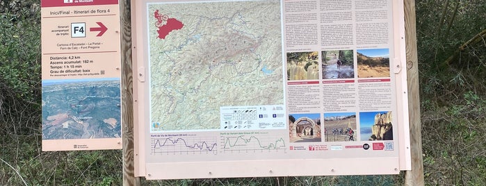 Cartoixa d'Escaladei is one of Priorat.