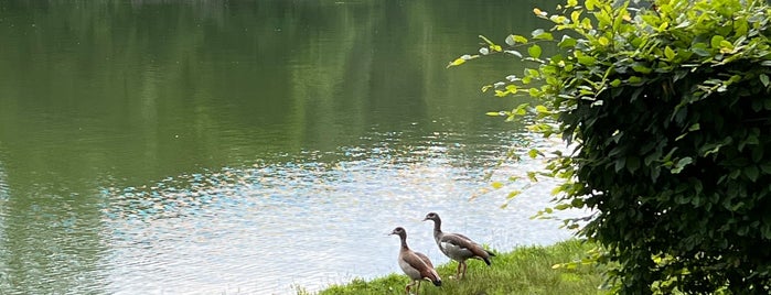 Étangs Chabots is one of Lakes of Brussels.