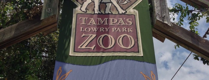 Tampa's Lowry Park Zoo is one of Tampa Florida area must do's.