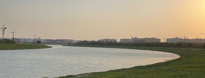 بحيرة الشبيلي is one of สถานที่ที่ yazeed ถูกใจ.
