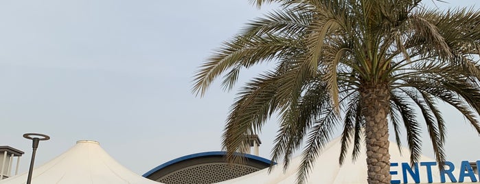 Souk Al Marfa is one of UAE Tour 🇦🇪.