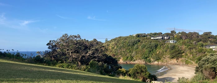 Little Oneroa Beach is one of New Zealand.