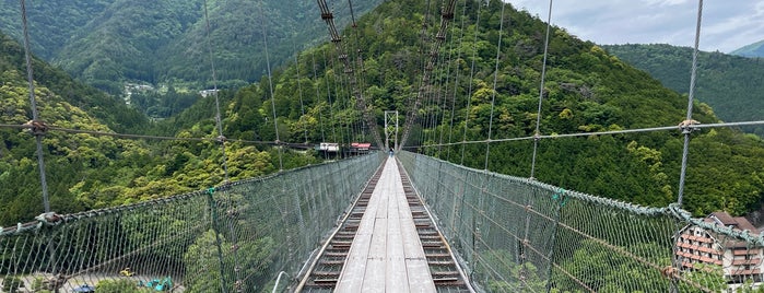 谷瀬橋(谷瀬の吊り橋) is one of アウトドアスポット.