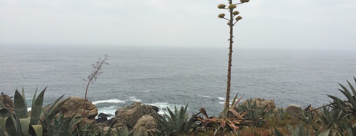 Roca Oceánica is one of playas de chilito.