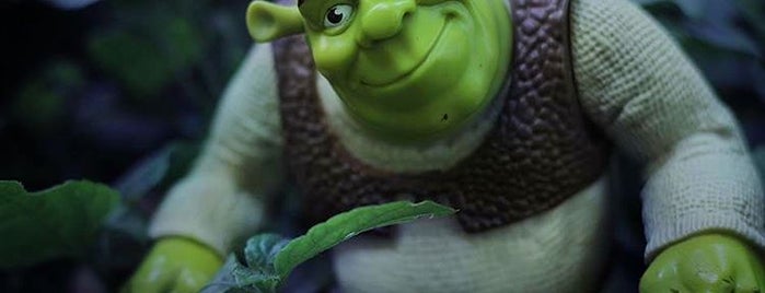 Shrek is one of Lieux qui ont plu à Anastasiya.