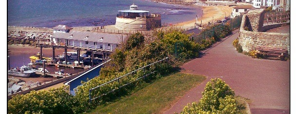 Ventnor Beach is one of Bobさんのお気に入りスポット.