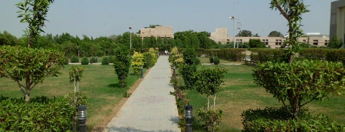 NED University of Engineering and Technology is one of social place.