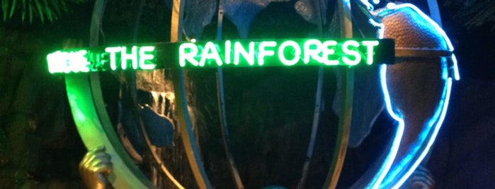 Rainforest Cafe is one of สถานที่ที่ Elizabeth ถูกใจ.