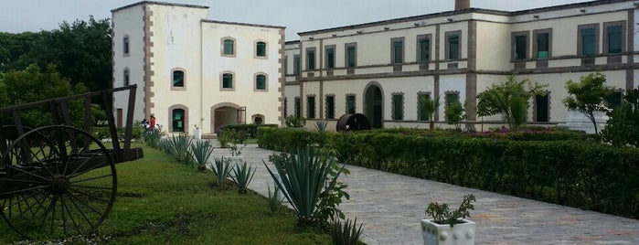 Museo del Agrarismo Ex-hacienda de Chinameca is one of Orte, die Luz gefallen.
