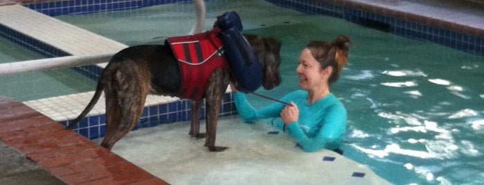 Paws Aquatics Canine Swim Center is one of Posti che sono piaciuti a Jacob.