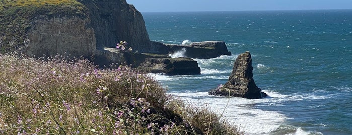 Davenport Cove Beach is one of To do in SF.
