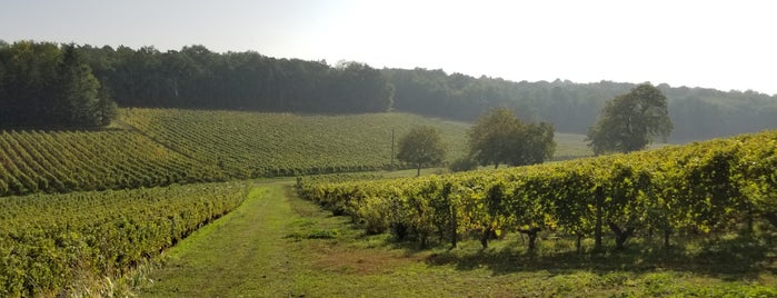 Domaine De La Noblaie is one of Loire Valley.