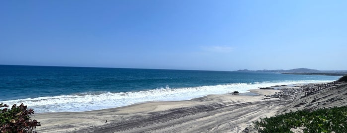 JW Marriott Los Cabos is one of Cabo San Lucas.