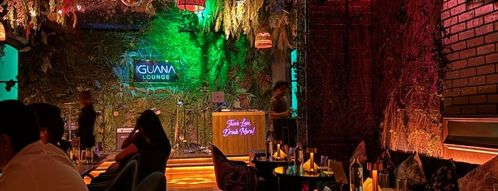Iguana Lounge is one of Bahrain.