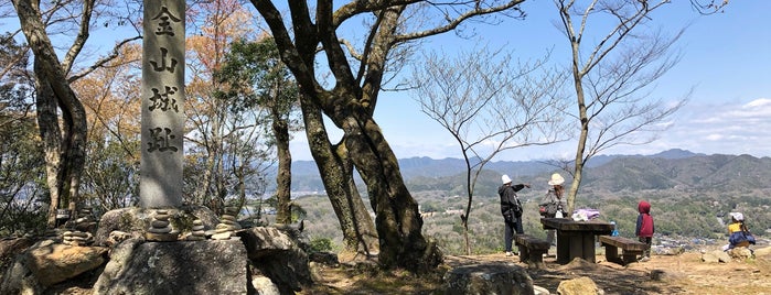 Kaneyama Castle Ruins is one of 城・城址・古戦場等（１）.