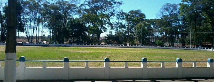 Parque Fernando Costa is one of Lugares favoritos de Rodrigo.