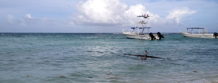 Playa Coba is one of Beagle : понравившиеся места.