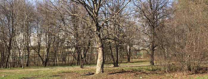 Кусковский лесопарк is one of Музеи и парки Москвы / Moscow Parks and Museums.