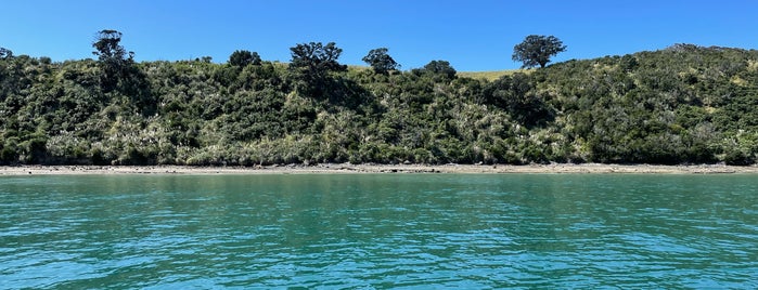 Islington Bay is one of Auckland.