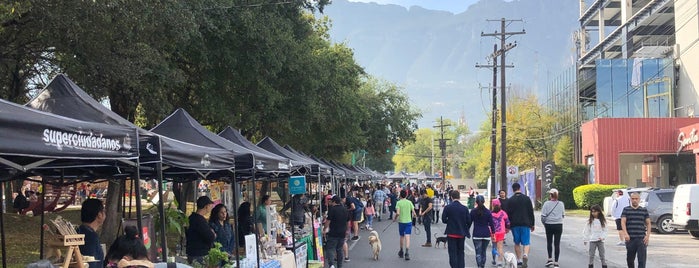 Mercado de la Fregonería is one of Monterrey.