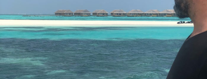 Cocoon Maldives is one of Lieux qui ont plu à Nuno.
